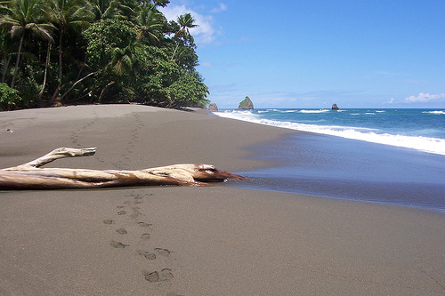 Corcovado National Park